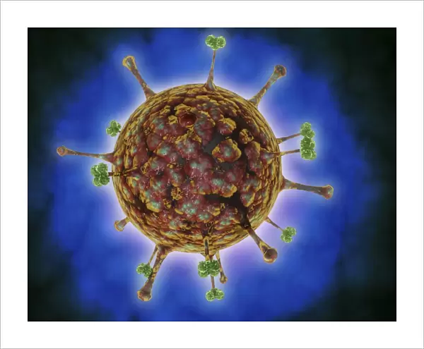 Microscopic view of Henipavirus