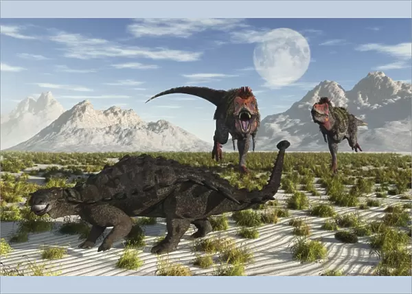 A pair of Tarbosaurus dinosaurs running towards a Pinacosaurus
