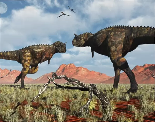 A pair of Carnotaurus dinosaurs in a territorial dispute