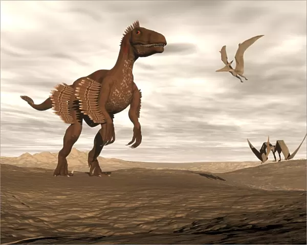 Velociraptor dinosaur in desert landscape with two pteranodon birds