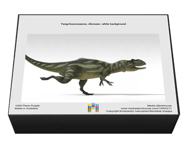 Yangchuanosaurus, dinosaur, white background