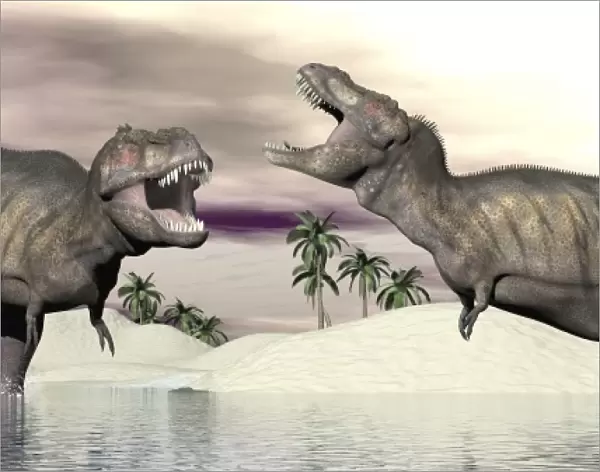 Two Tyrannosaurus rex dinosaurs fighting in the water