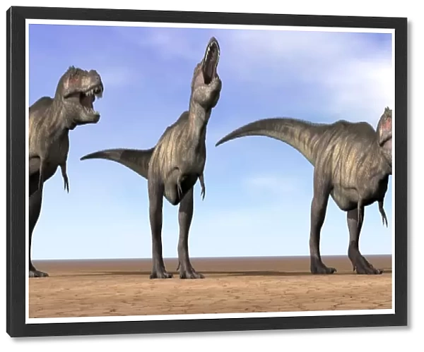 Three Tyrannosaurus Rex dinosaurs standing in the desert