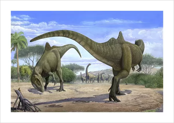 The wedding ceremony between two Concatenator corcovatus dinosaurs