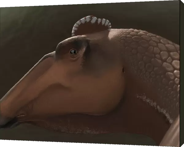 Edmontosaurus regalis dinosaur portrait