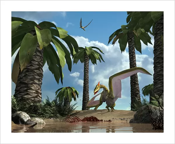 A pterosaur flying reptile lands next to some carrion