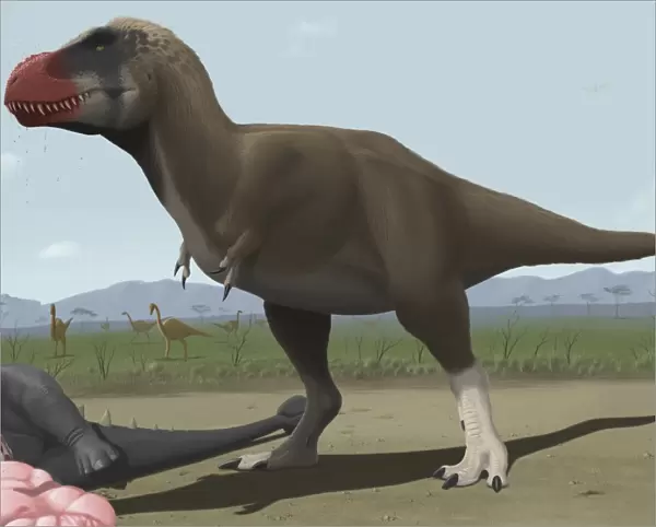 Tyrannosaurus Rex feeding on the carcass of a dead animal