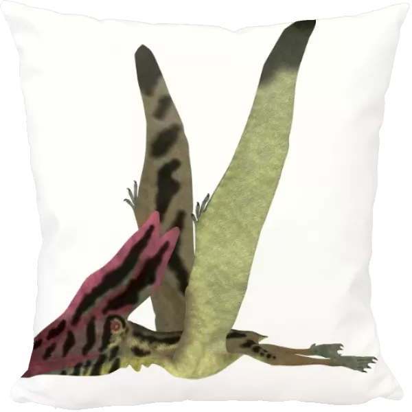 Thalassodromeus pterosaur side view