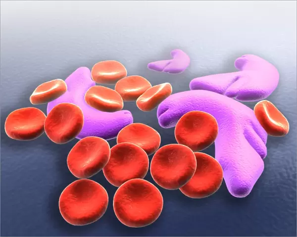 Conceptual image of sickle cell anemia