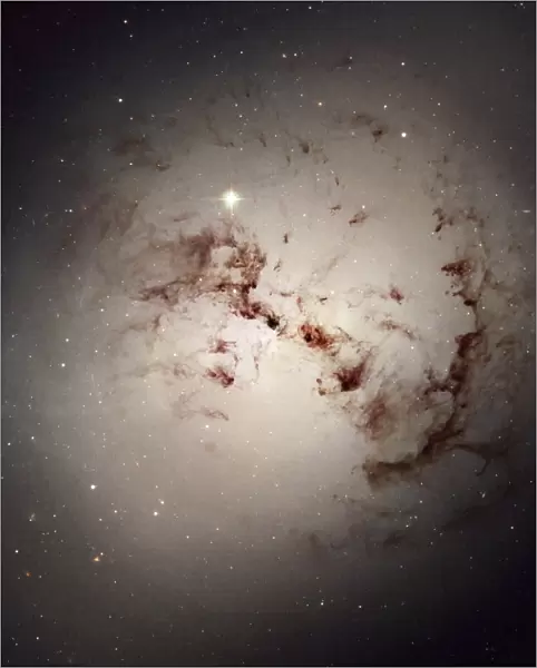 Elliptical galaxy NGC 1316