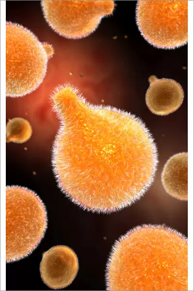Conceptual image of plasmodium causing malaria
