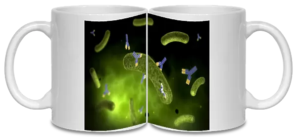 Conceptual image of antibody attaching and killing bacteria