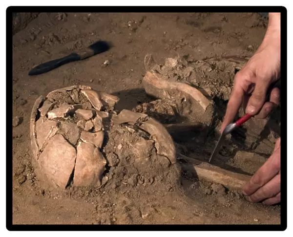 Human remains discovered during an archeological dig