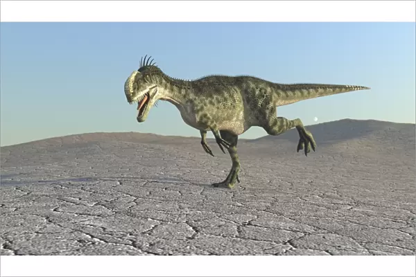 Monolophosaurus running across a barren desert