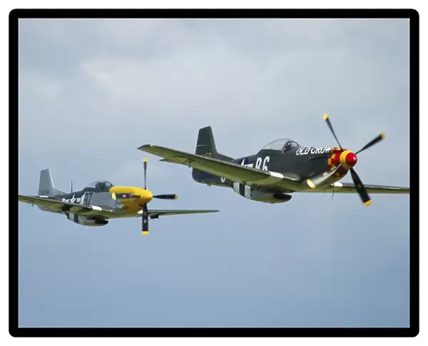 Two P-51D Mustangs in United States Army Air Corps colors