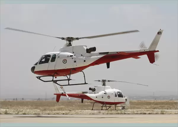 A pair of AS350 Squirrel helicopters of the Royal Jordanian Air Force