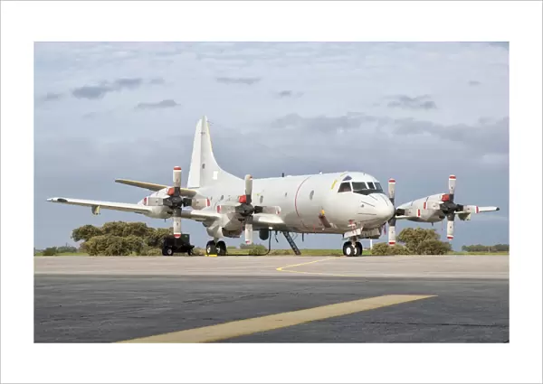 A Portuguese Air Force P-3C Cup Orion at Beja Air Base, Portugal