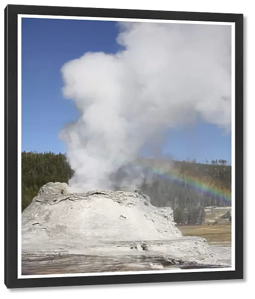 Castle Geyser eruption, Upper Geyser Basin geothermal area, Yellowstone National Park