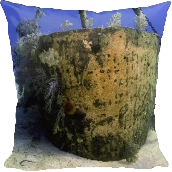 Bow of the Oro Verde Wreck, Grand Cayman