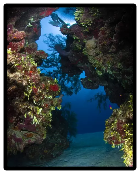 Underwater crevice through a coral reef, Belize