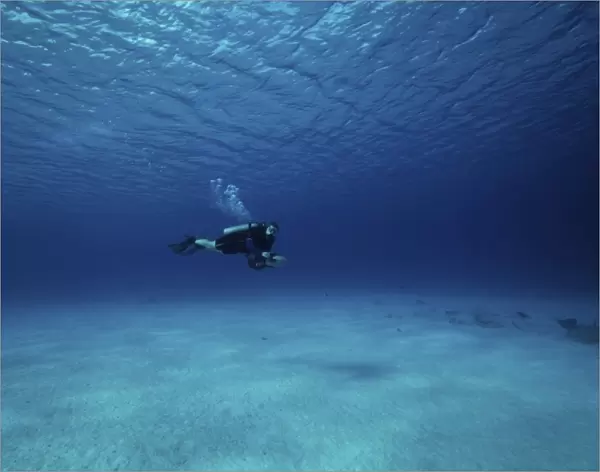 A diver on a scooter explores the clear blue waters of Toris Reef, Bonaire