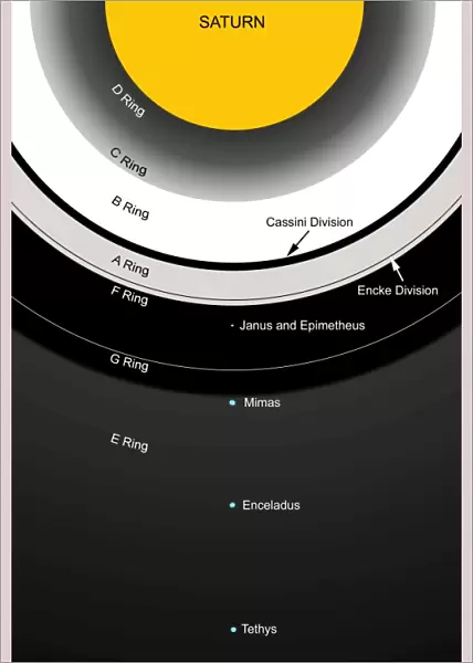A diagram showing the major features of Saturns rings