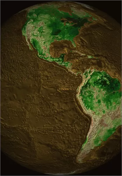 Topographic Map of Earth