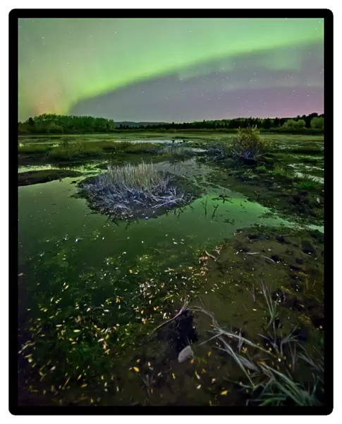 Aurora borealis over Fish Lake, Whitehorse, Yukon, Canada