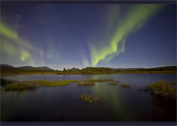 Aurora borealis over Fish Lake, Yukon, Canada