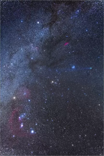 Comet Lovejoy in the winter sky