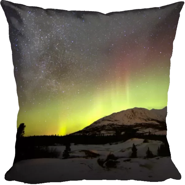 Aurora borealis and Milky Way over Carcross Desert, Canada