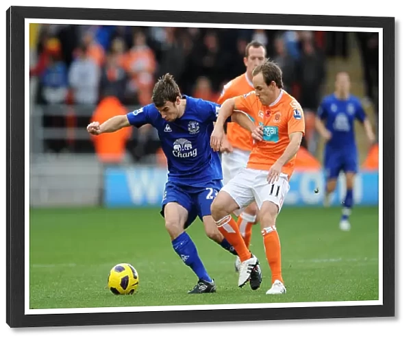 Soccer - Barclays Premier League - Blackpool v Everton - Bloomfield Road