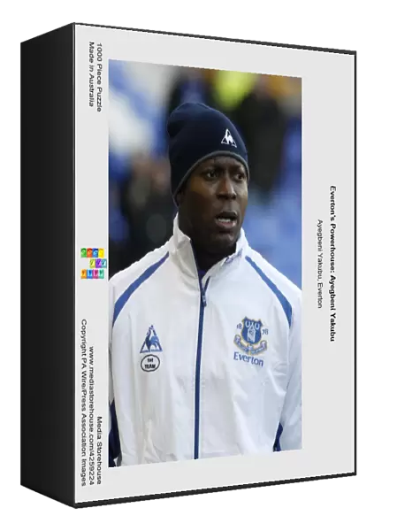 Everton's Powerhouse: Ayegbeni Yakubu
