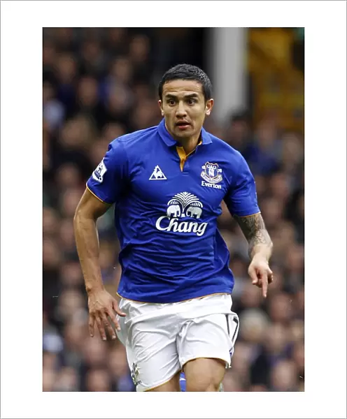 Tim Cahill's Thrilling Goal: Everton's Victory Over West Bromwich Albion (31 March 2012, Goodison Park)