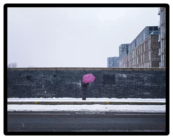 The pink umbrella