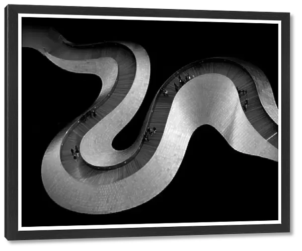 Snake. Ivan Huang