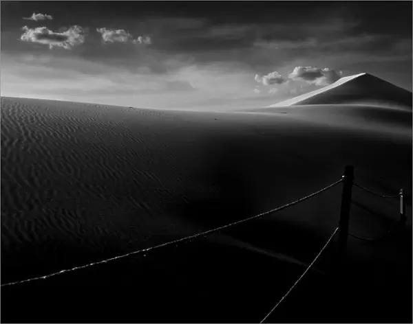 Sand Dune. Larry Deng