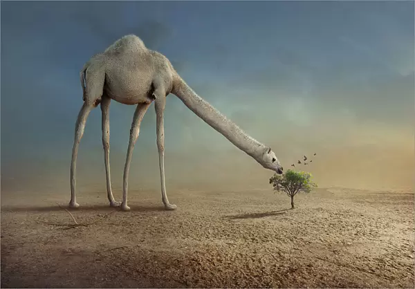 Camel and Tree