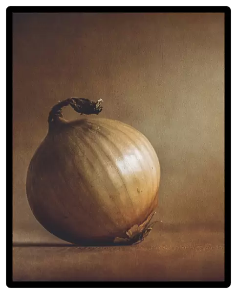 Onion. Kristina Zvinakeviciute