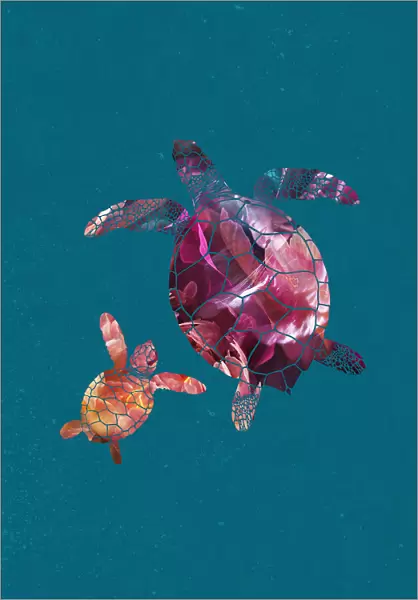 Colourful Turtles