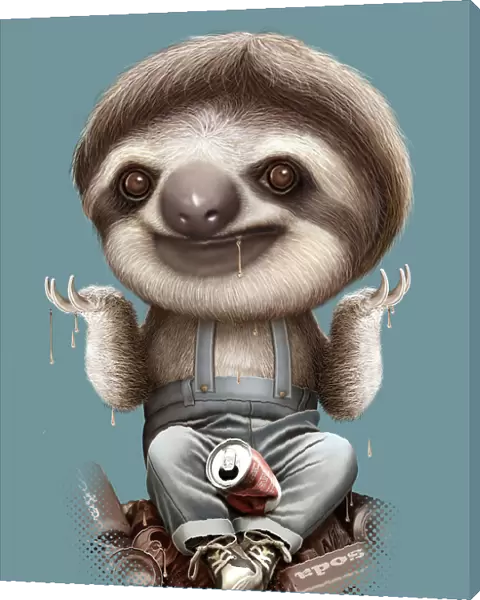 SLOTH DON'T CARE