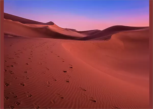 The colors of the desert at sunset