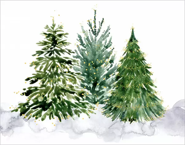 Three watercolor Christmas trees