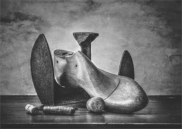 Cobbler. Montserrat Alviani