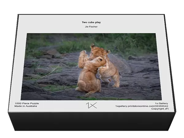 Two cubs play