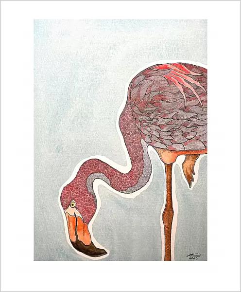 Flamingo. Max Lundén