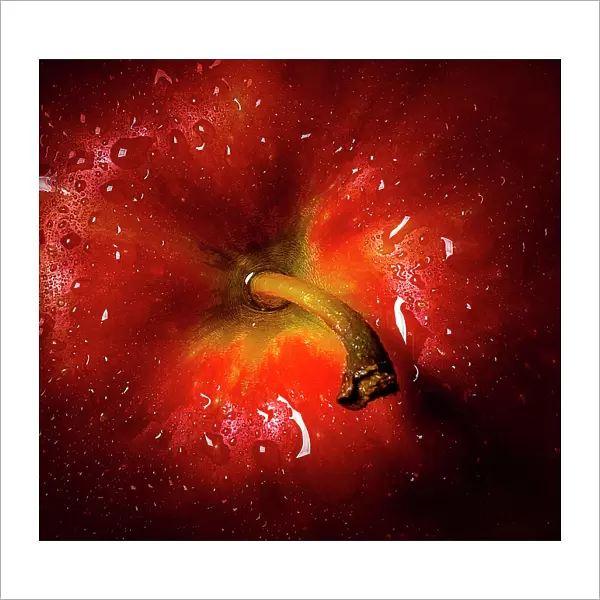 red apple. Chris Coenders