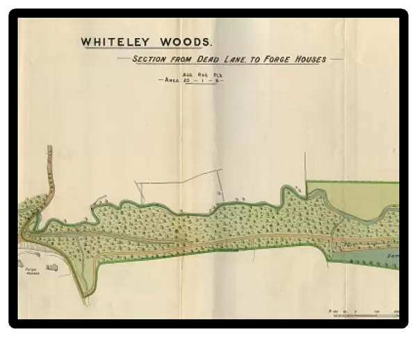 Plan of Whiteley Woods (Part 1) -section from Dead Lane to Forge Houses, 1897