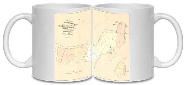 Plan of a freehold estate belonging to the executors of the late Thomas Pearson esquire, situate at Fulwood, in the township of Upper Hallam... allotted for sale, 1853