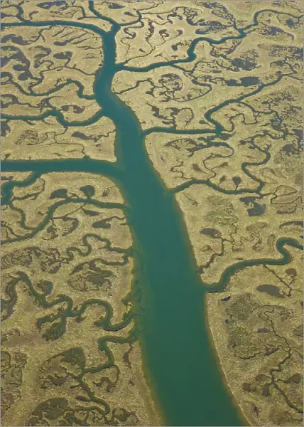 Aerial view of river tributaries, saltmarsh and coast, Punta Umbria, Costa de la Luz